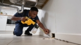 Top Diatomaceous Earth Dusters and Applicators You’ll Love Using