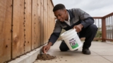 Top Mite Powders That Keep Pests at Bay