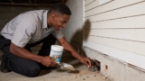 Top-Rated Bifenthrin Granules for Pest Control