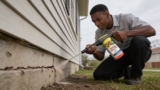 Top-Rated Carbaryl Dusts for Effective Pest Control