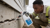 Top-Rated Deltamethrin Dusts That Ensure Effective Pest Control