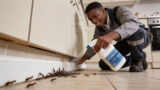 Top-Rated Garlic Spray Insect Repellents That Keep Bugs Away