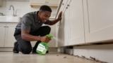 Effective Natural and Non-Toxic Ant Repellents You Can Trust