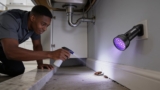Effective UV Roach Detector Lights That Banish Unseen Pests