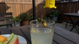 How to Keep Wasps Away From Your Patio