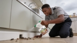 Effective Weevil Killer Sprays That Protect Your Pantry